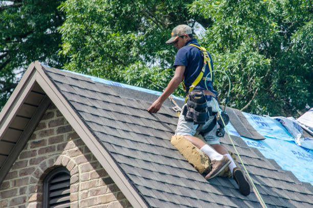 Best Roof Gutter Cleaning  in Grandview, OK